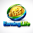 www.earninglife.in favicon